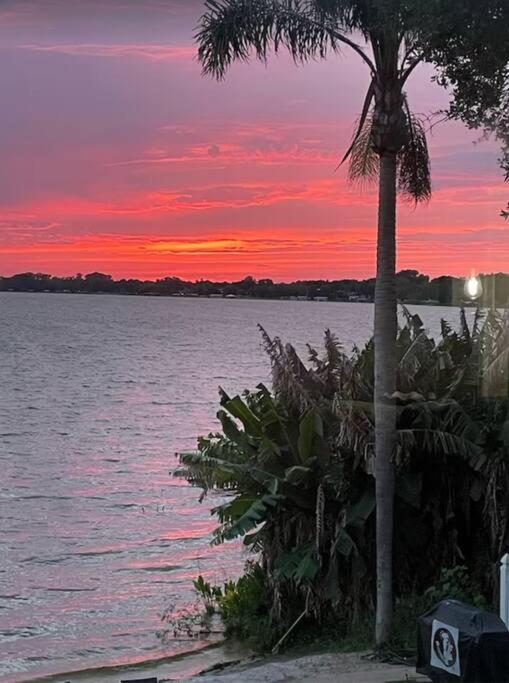Lakefront Duplex With Pontoon Boat 3 Bed House Mount Dora Zewnętrze zdjęcie